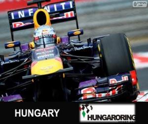 пазл Себастьян Феттель - Red Bull - Гран-при Венгрии 2013, классифицированы 3